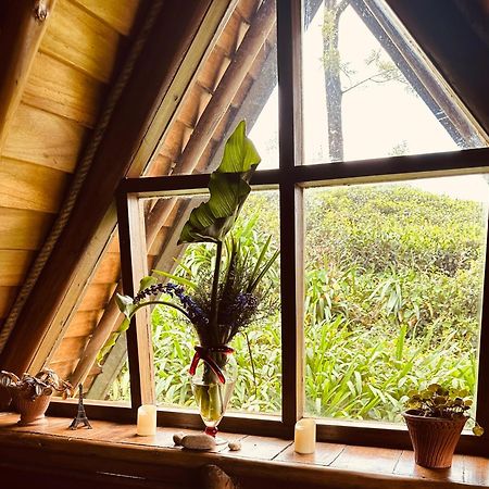 Villa 47 Nuwaraeliya Нувара-Элия Экстерьер фото