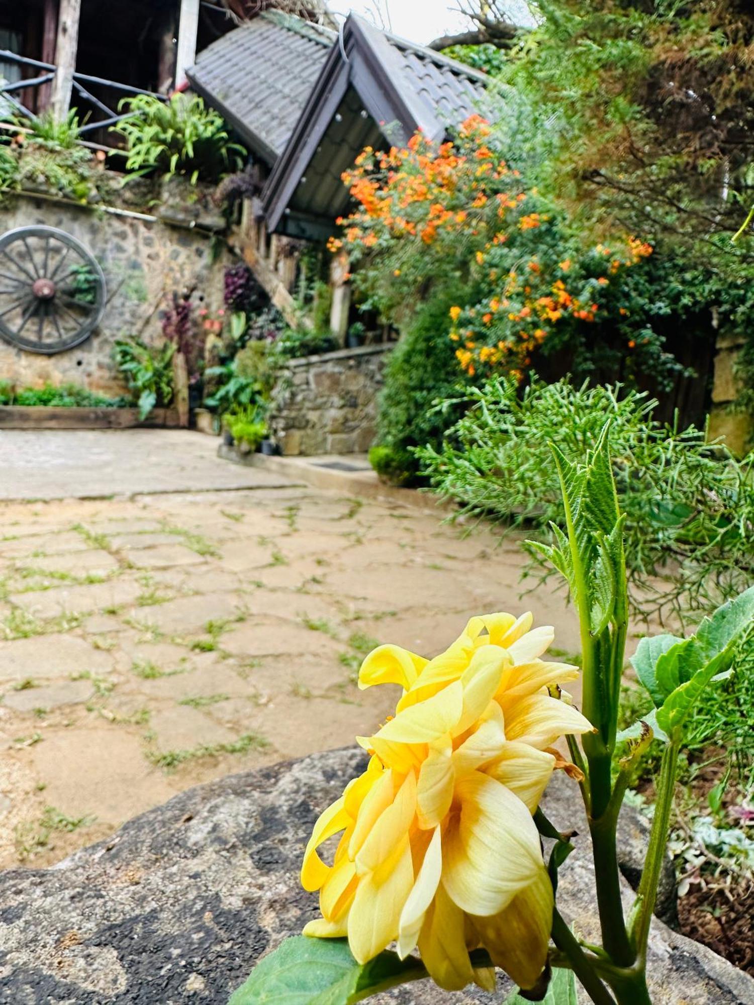 Villa 47 Nuwaraeliya Нувара-Элия Экстерьер фото