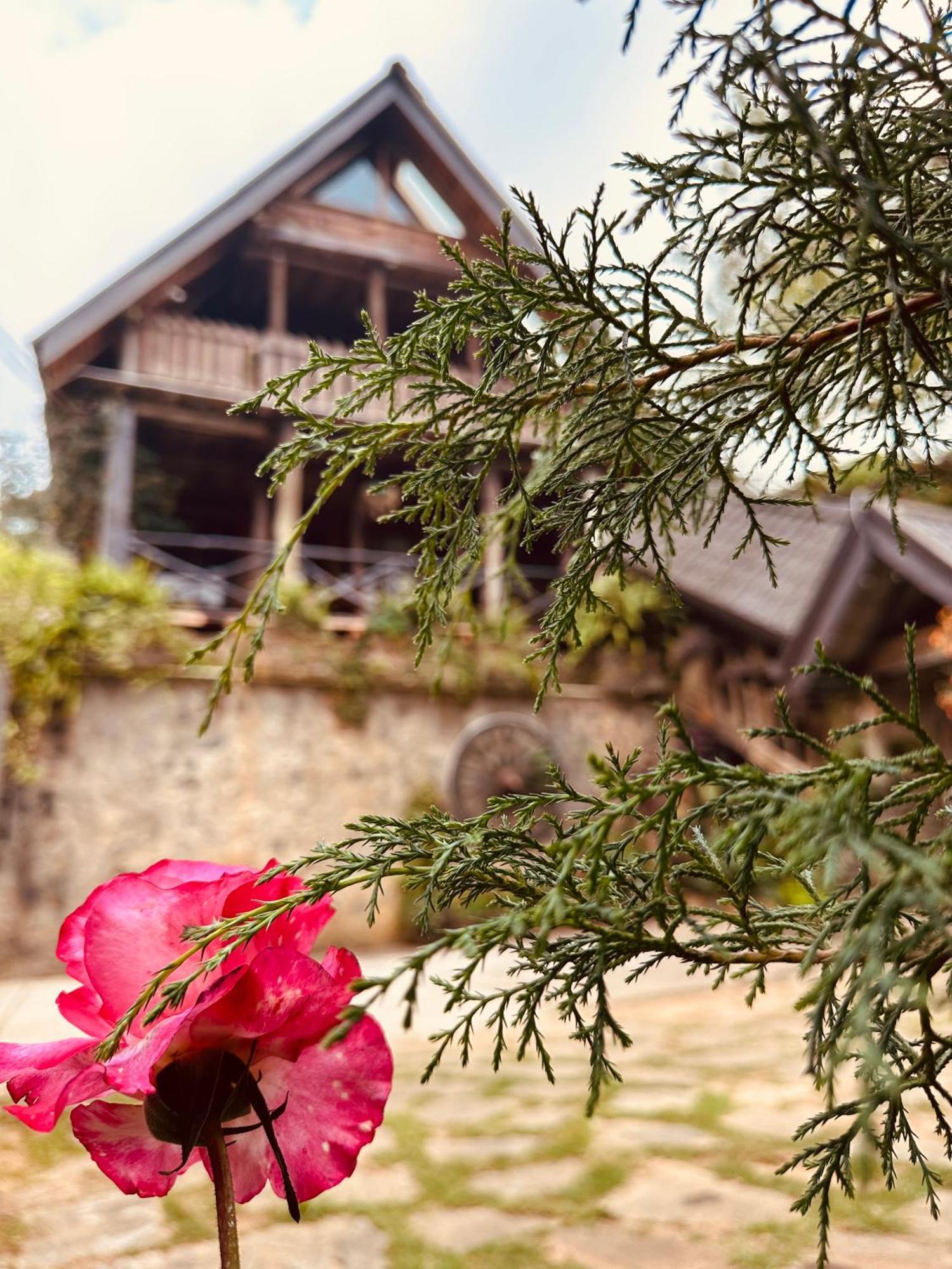 Villa 47 Nuwaraeliya Нувара-Элия Экстерьер фото