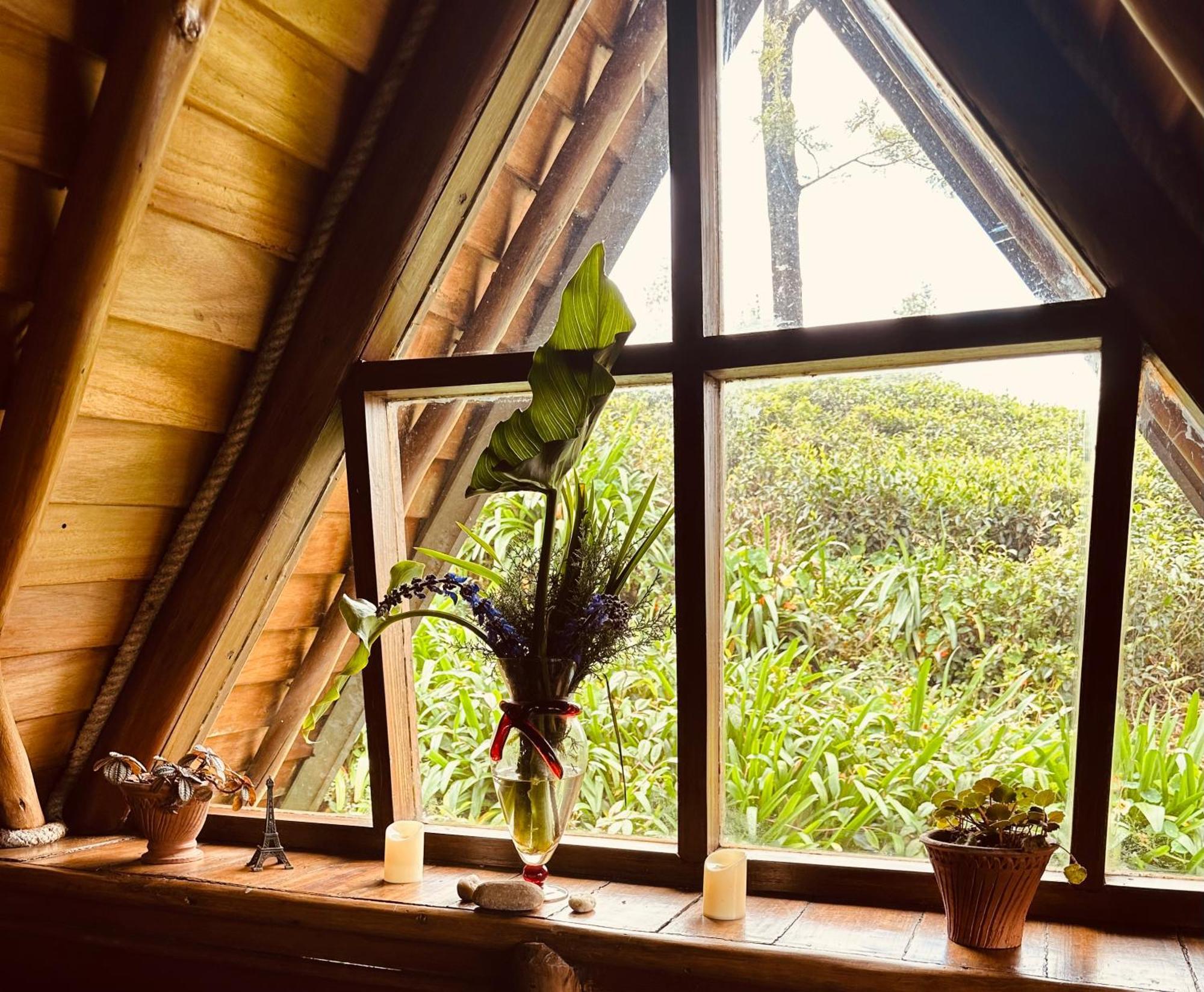 Villa 47 Nuwaraeliya Нувара-Элия Экстерьер фото