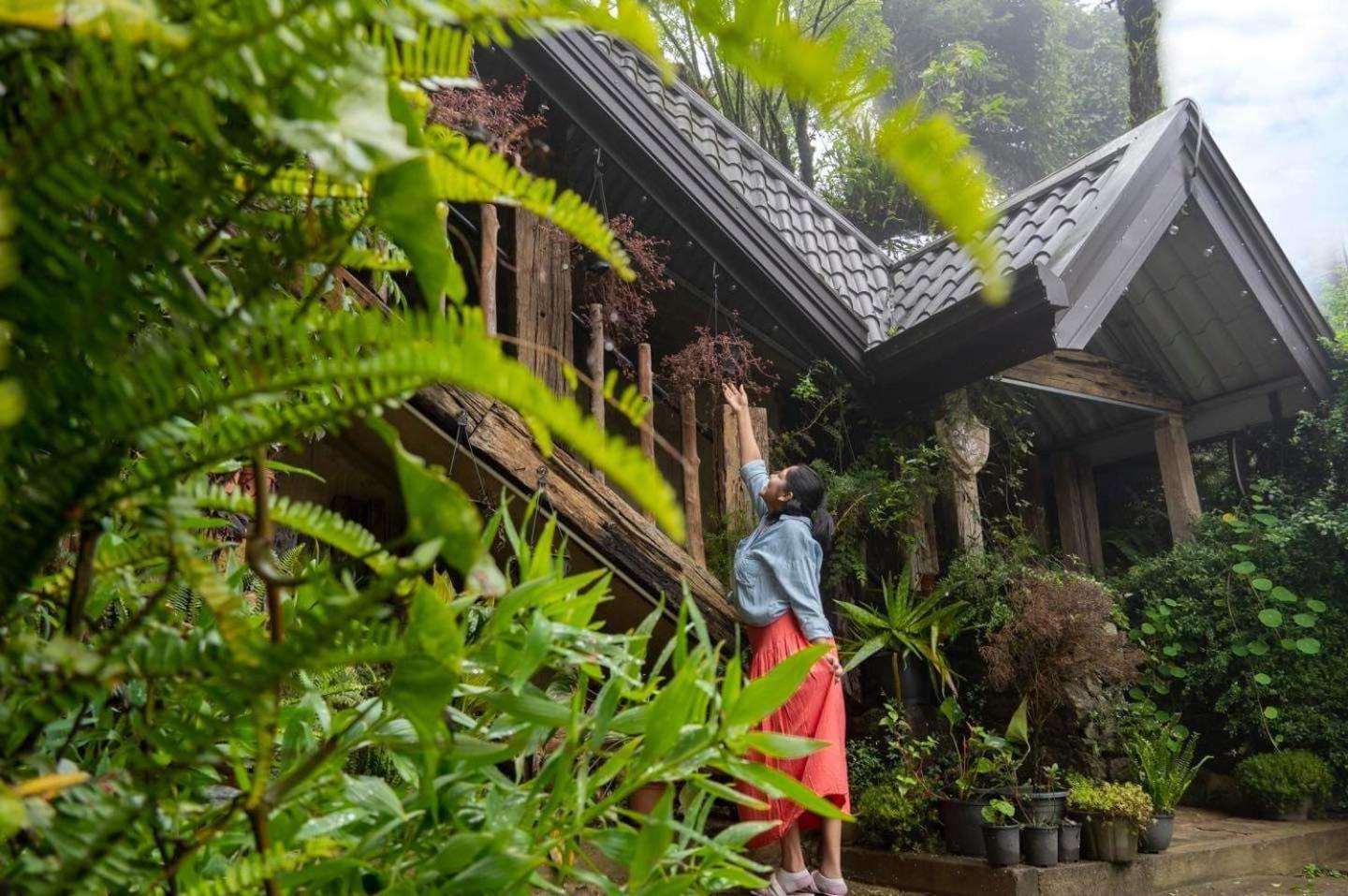 Villa 47 Nuwaraeliya Нувара-Элия Экстерьер фото